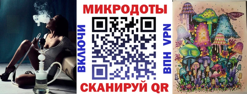 блэк спрут как войти  Питкяранта  Галлюциногенные грибы Psilocybine cubensis 